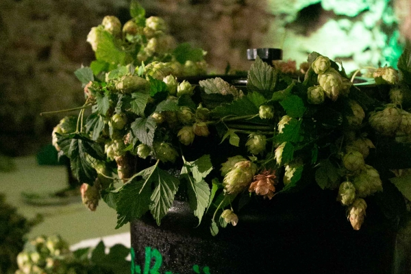 bier-kultur-web0120BD4FA55-9C20-2909-32CB-A0008F09C5E7.jpg